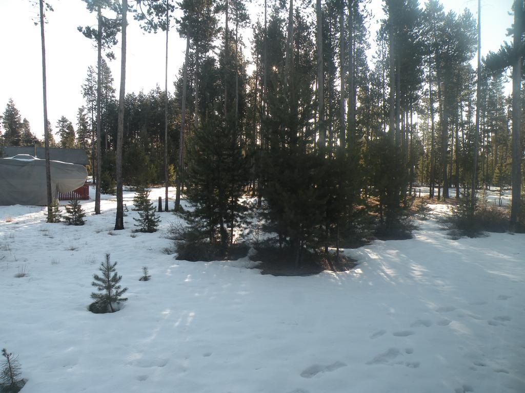 Cozy Cabin Lapine La Pine Εξωτερικό φωτογραφία