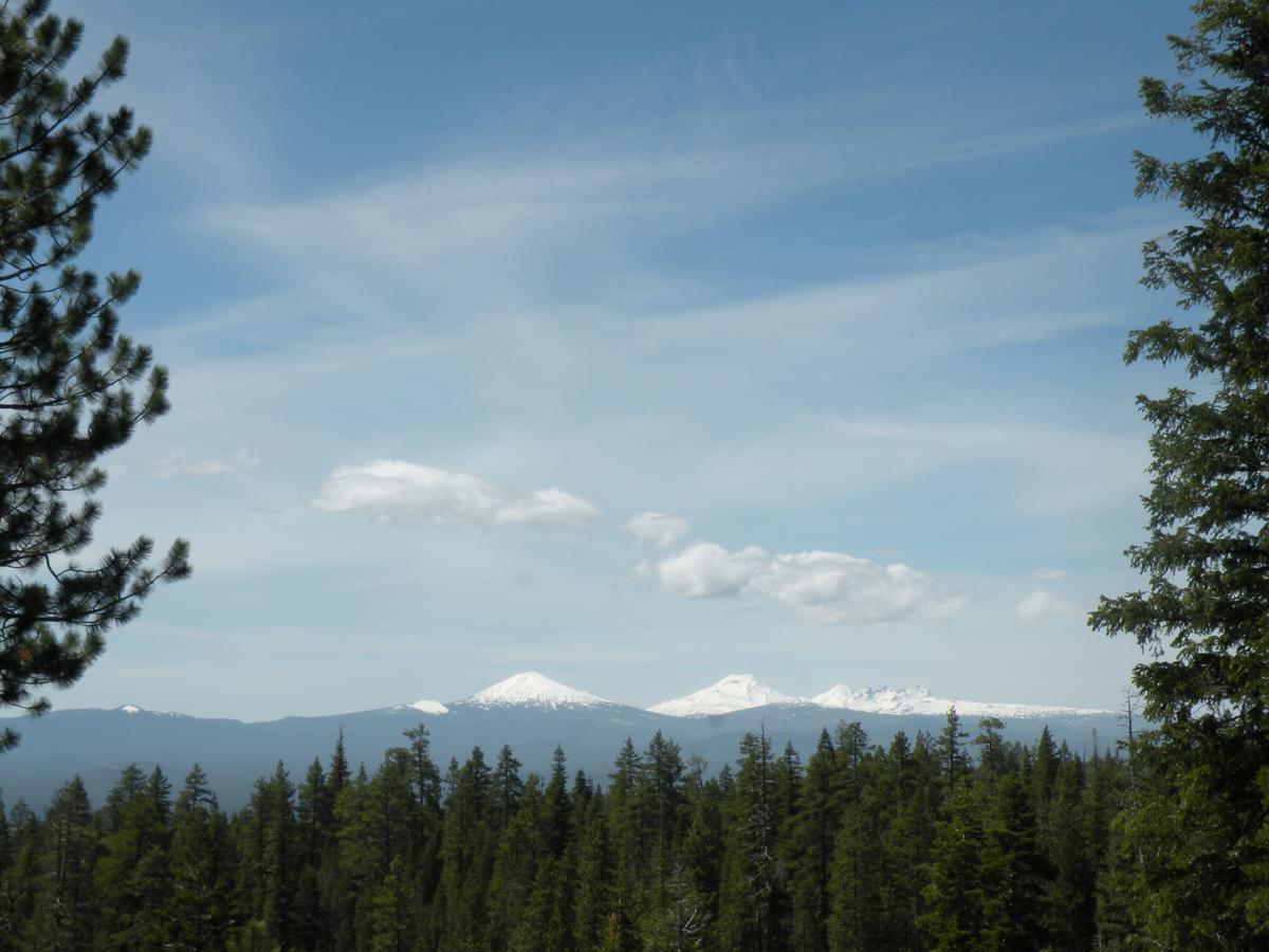 Cozy Cabin Lapine La Pine Δωμάτιο φωτογραφία