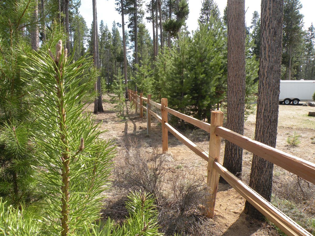 Cozy Cabin Lapine La Pine Δωμάτιο φωτογραφία